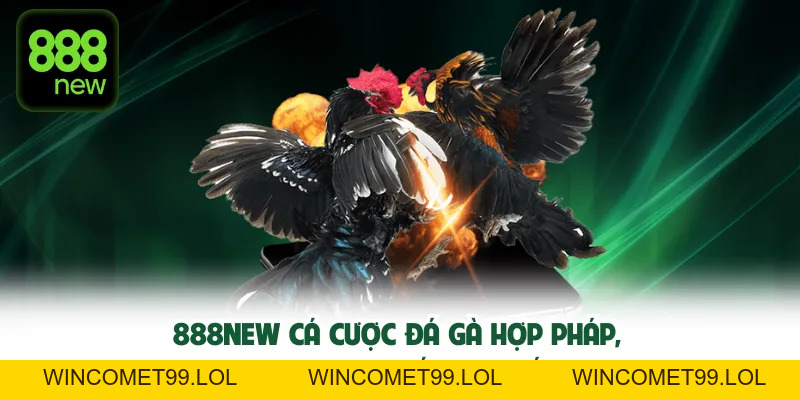 Đá gà TN88 – Cuồng nhiệt từng trận đấu, rút thưởng siêu tốc