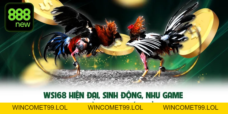 Đá gà TN88 – Cuồng nhiệt từng trận đấu, rút thưởng siêu tốc