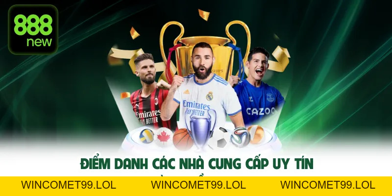 Thể Thao TN88 - Top 05 Nhà Cung Cấp Kèo Cược Lớn Nhất